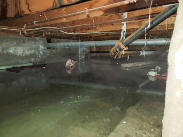 Best Flood restoration services  in Bay Harbor Islands, FL