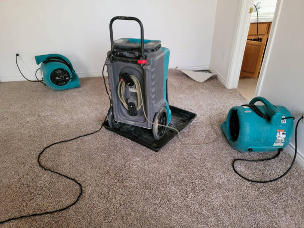 Best Commercial water damage restoration  in Bay Harbor Islands, FL