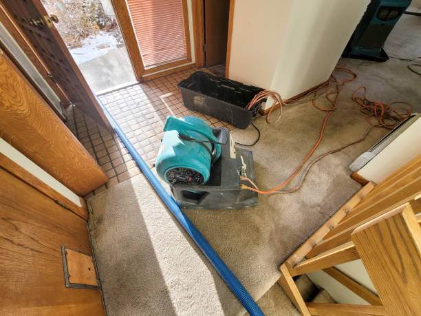 Best Flood restoration services  in Bay Harbor Islands, FL
