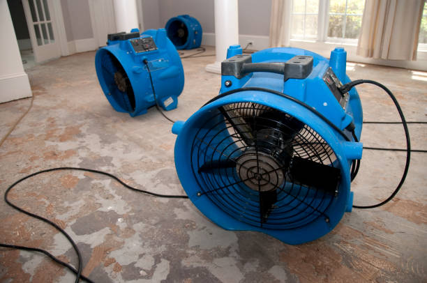 Best Sewage cleanup and water damage restoration  in Bay Harbor Islands, FL