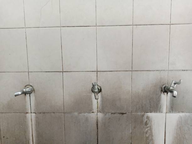 Best Water damage contractors near me  in Bay Harbor Islands, FL