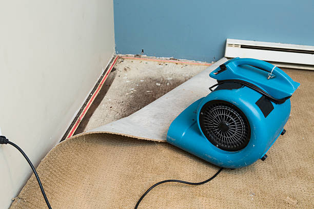 Best Water damage restoration experts  in Bay Harbor Islands, FL